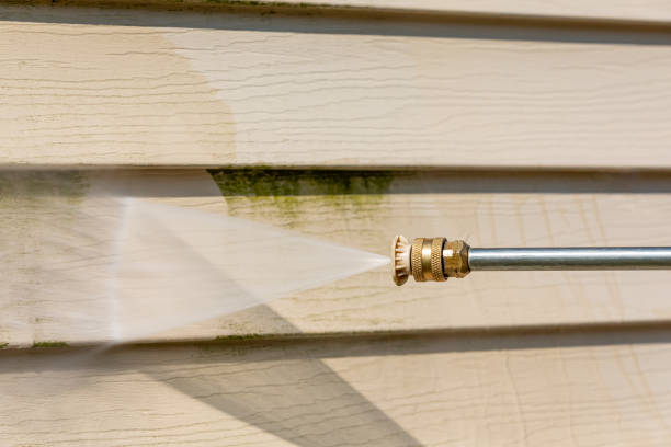 Best Local Pressure Washing Services  in Honsville, GA
